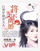 《白領穿越俏夫人:將軍不離婚》