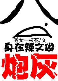 《身在辣文當炮灰/白蓮花和黑蓮花的戰鬥》