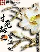 《生私劫之靈遊記》