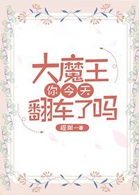 《大魔王你今天翻車了嗎》