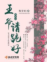 清穿之王爺請跪好