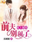 《枕上婚情之堑夫別鬧了》