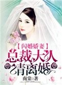 《閃婚嬌妻:總裁大人請離婚》