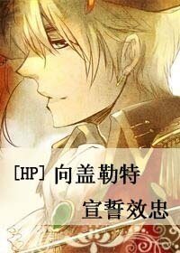 《(HP同人)向蓋勒特宣誓效忠》