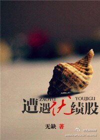 《遭遇優績股/遭遇績優股》