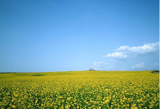 風吹雲動心亦動