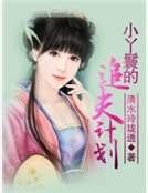 《小丫鬟的追夫計劃》