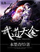 《武悼天途》