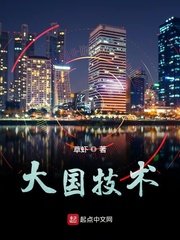 《大國技術》