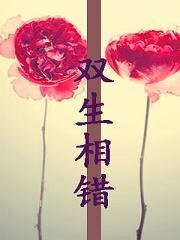 《雙生相錯》
