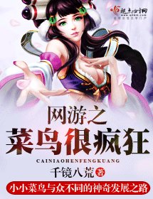 網遊之菜鳥很瘋狂