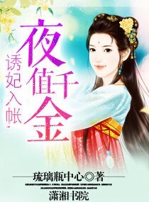 《誘妃入帳,夜值千金》