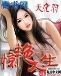 《驚豔人生》