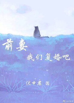 《前妻,我們復婚吧!》
