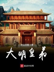 《大明皇弟》