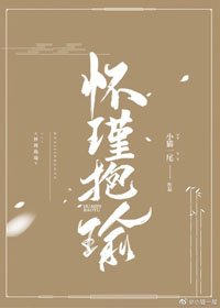 《懷瑾抱瑜》