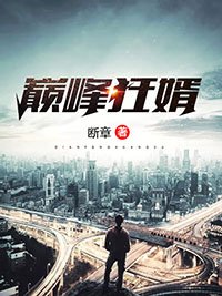 《巔峯狂婿》