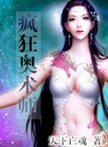 瘋狂奧術師