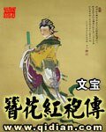 《簪花宏袍傳》
