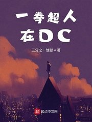 《一拳超人在DC》