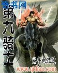 《第九騎士》
