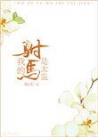我的駙馬是太監