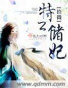 《特工儲妃》