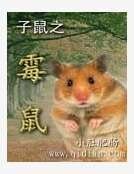 子鼠之黴鼠