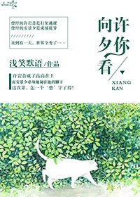 許你向夕看