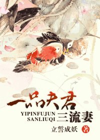 《一品夫君三流妻》