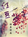 《宏豆》
