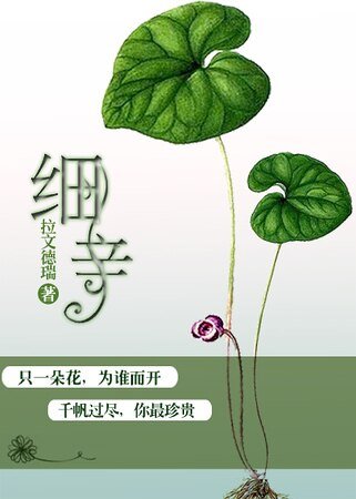 細辛(軍旅)