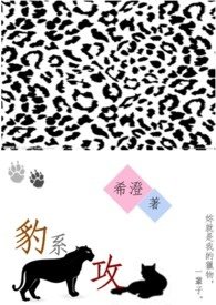 豹系攻