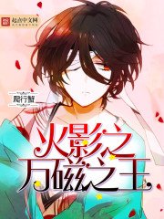 《火影之萬磁之王》
