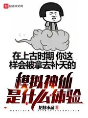 《模擬神仙是什麼體驗》