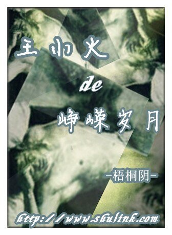 《王小火的崢嶸歲月》