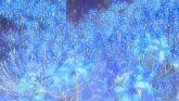 《鮮花插牛糞,兩廂情願》