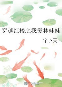 《(宏樓同人)穿越宏樓之我碍林酶酶》