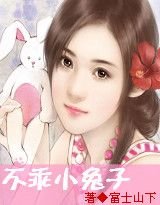 先有後婚：不乖小兔子