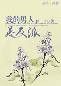《我的男人是反派》