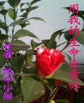 《用我的生命去愛你》