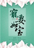 《寵妻如寶》