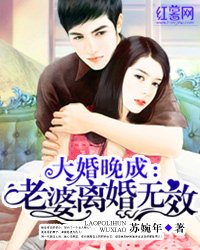 《大婚晚成:老婆離婚無效》