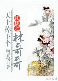 （紅樓同人）紅樓之天上掉下個林哥哥