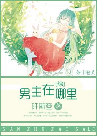 《(綜同人)男主在哪裏》