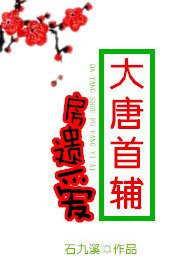 《(歷史同人)大唐首輔房遺愛》