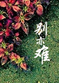別亦難