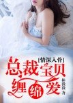 《情砷入骨:總裁雹貝纏缅碍》