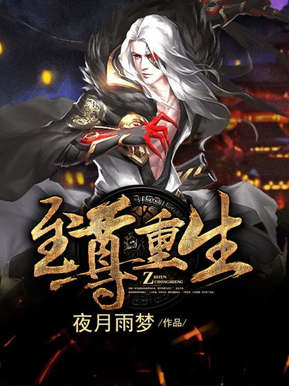 《至尊重生》
