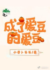 《成了愛豆的愛豆》